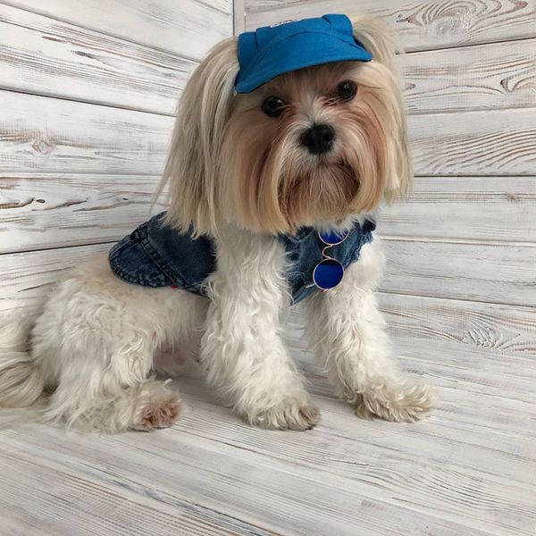 

s-xl pet baseball cap for dogs summer outdoor pet hat accessories puppy baseball hat fashion cotton sun hat for bulldog labrador