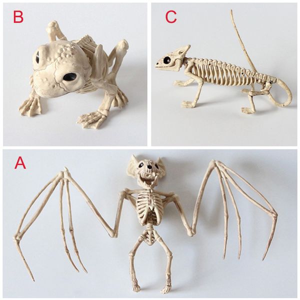 

interesting animal skeleton model bat/frog/lizard bones halloween party decoration xh8z au14