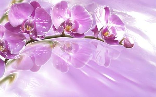 

3d wall murals wallpaper simple mural jade carving tv background wall