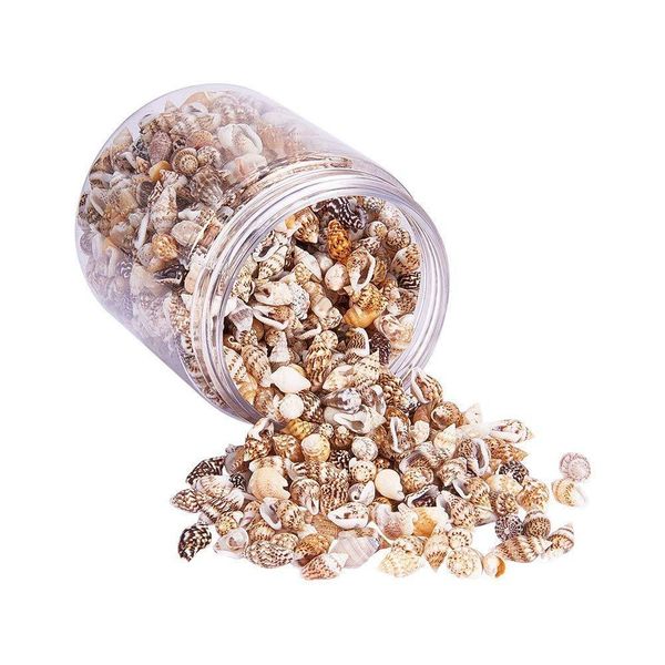 

about 1300-1500 tiny sea shell ocean beach spiral seashells craft charms 7-12mm for candle making,home decoration,beach theme