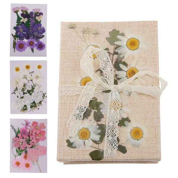 

3 bags multiple mixed pressed dried flowers for diy crafts