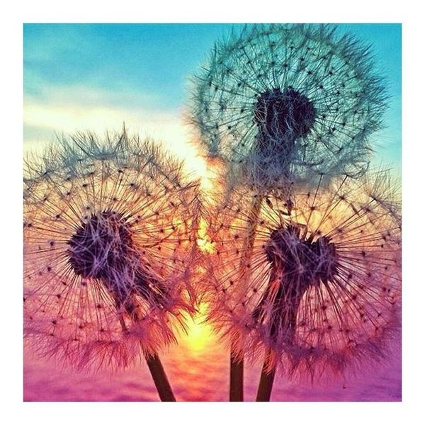 

20*25cm 5d diamond cross stitch painting embroidery 5d diamond diy painting cross stitch home decor