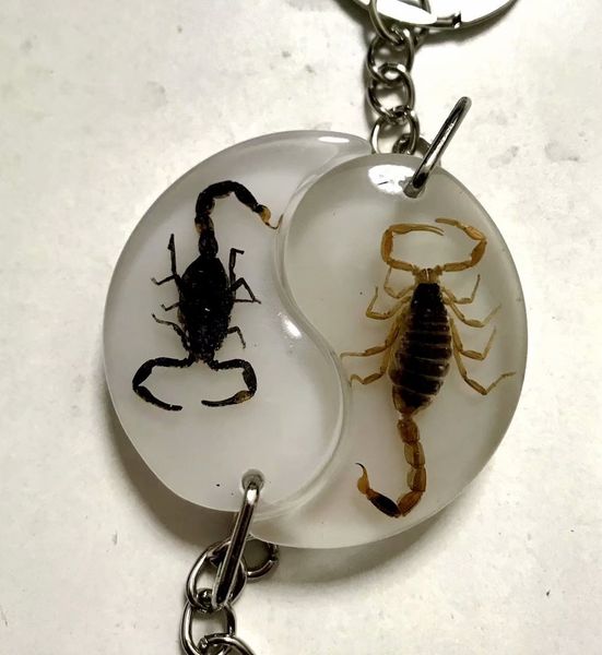 

yqtdmy 12 pcs design fashion black gold scorpion white bottom keychain, Slivery;golden