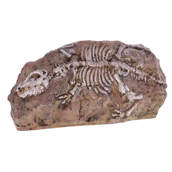 

resin dinosaur skeleton stone aquarium decoration fish tank ornament new