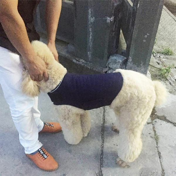 

2019 1PC Pet Emotional Appeasing Casual Coat Jacket Clothes Dog Pets Puppy Pet