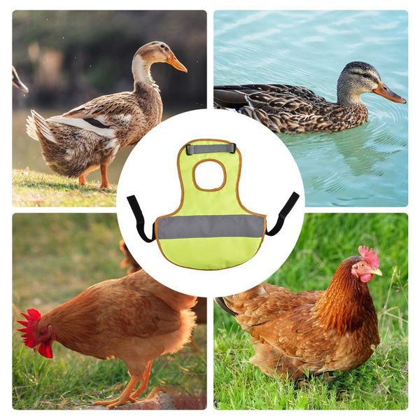 

pet reflective vest chicken clothes poultry hen saddle apron feather protection holder for farm chicken and duck vest
