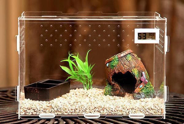 

second gram force spider gecko lizard transparent crawler raise climbing pet box 25*20*20