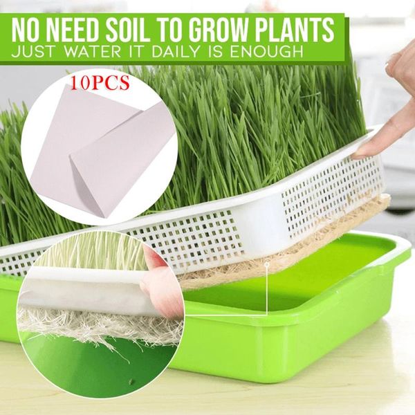 

planters & pots double-layer planting tray nursery plants seedlings plate + 10pcs paper set corrosion resistance, breathability