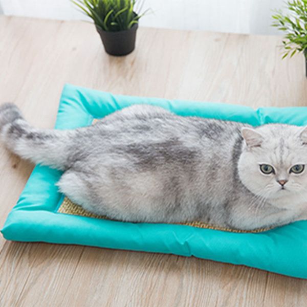 

new summer pet washable mattress universal non-stick hair cat four seasons pet supplies dog pads cute creative convenient mould proof bed
