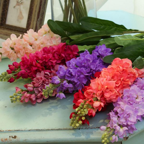 

80м 14color подделнй violet икђвенне ве делиниђм оѬиде елк подделнй о