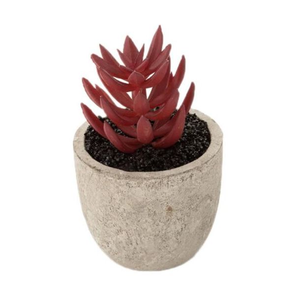 Çevre Dostu Pulp Pot PVC Malzeme ile Yapay Saksı Etli Saksılı Etli Bonsai Set Yaratıcı Ofis Yapay Çiçek