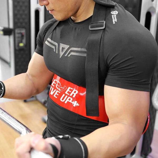 

biceps training arm blaster adjustable bodybuilding biceps triceps curl bomber gym muscle training arm blaster board