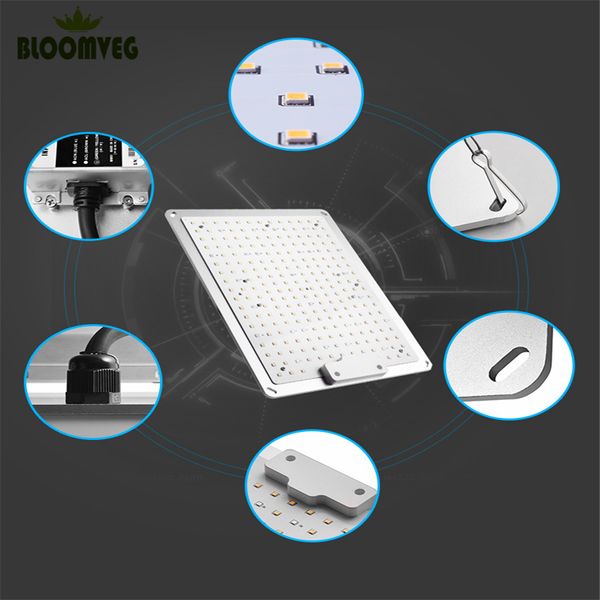 top Grow Lights Full Samsung301B ha condotto la luce 1000W/2000W/4000W con chip LM301B 234Pcs 3500K e driver UL Meanwell