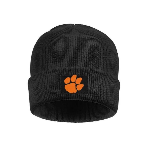 champion stocking hat
