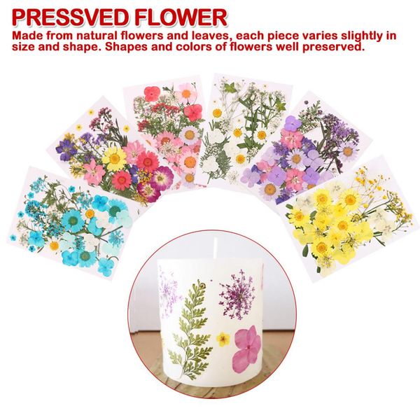 

mini dried flowers pressed flowers preserved flower decoration home diy art floral decors collection gift