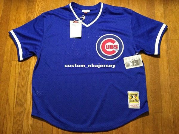 ryne sandberg jersey