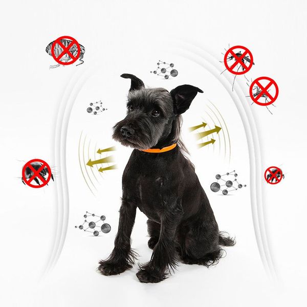 

pet dog collar anti flea ticks mosquitoes outdoor quick kill repellent adjustable pet collars deworming for cat small large dogs