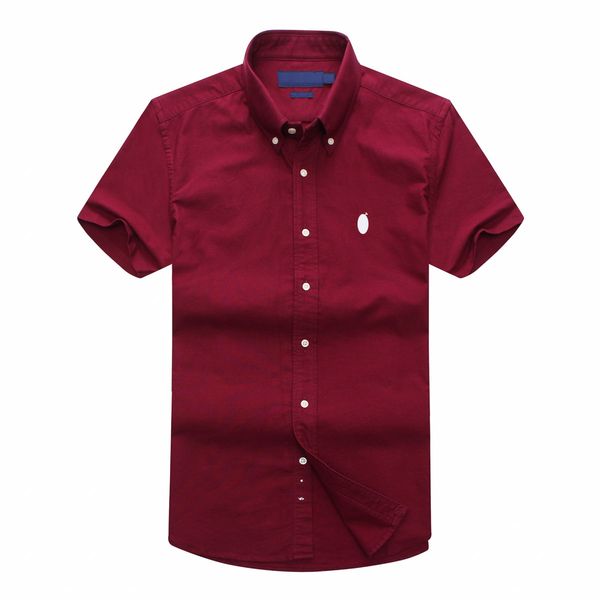 

ralph mens lauren designer shirt luxury business polo fashion slim shirt mens short sleeve clothing pony embroidery t shirt, White;black