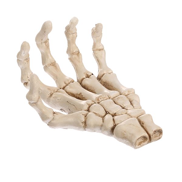 

resin hand palm skull replica skeleton medical teaching model craft -beige