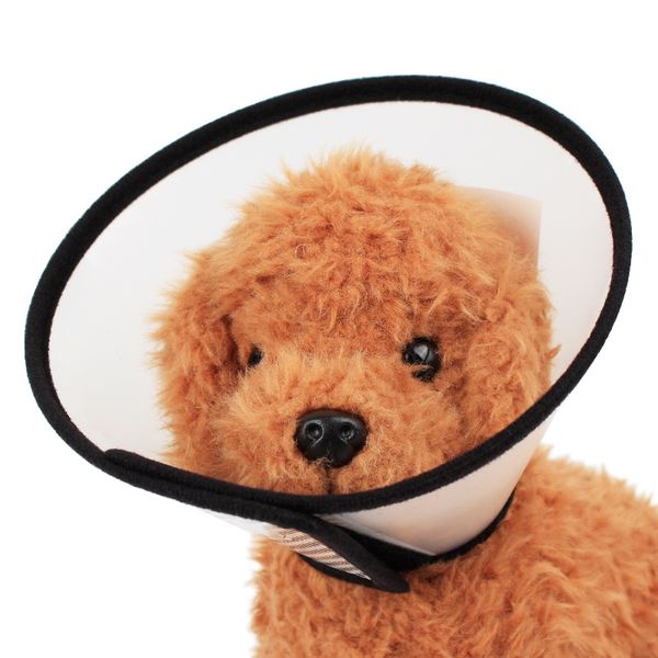 

translucent dog protective collar pet wound healing medical anti-bite ring protective cover for cat dog shield bath accessories