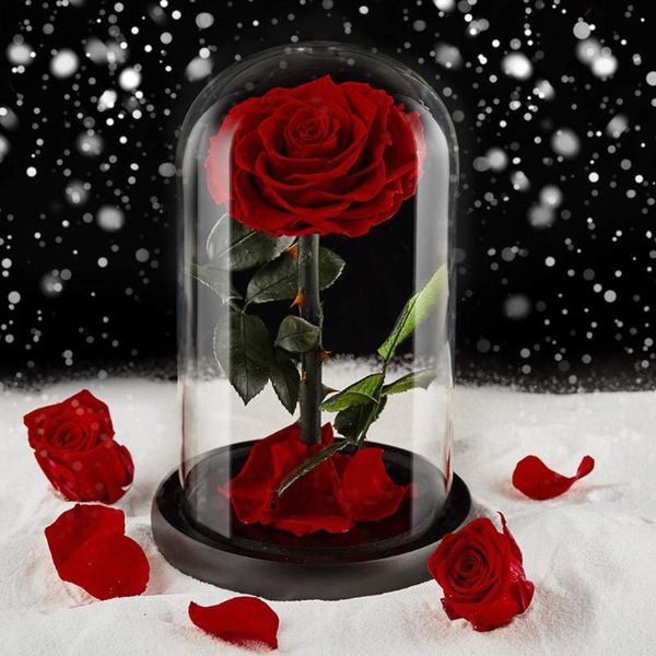 

dropshipping christmas lights led decoration wedding party glass display cloche domes fairy lights decorative ornament crafts