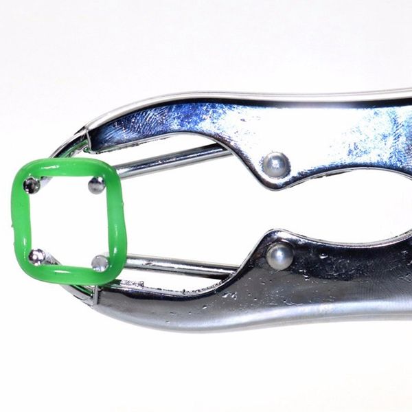 

100шт rubber сломанный хвост круг pig tail без крови удаление крупного рогатого скота новые овцы корова кастрация кольцо резиновое кольцо ск