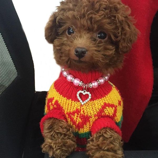 

lovely pearl collar for doggy jewelry pet collar with heart shape pendant bling pearl necklace for female puppy