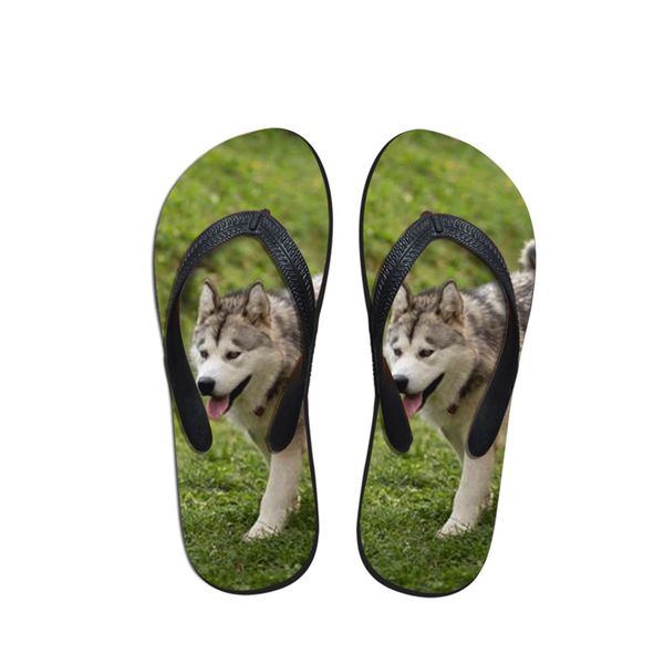 

new arrival alaskan malamute print new flip flops creative fashion summer beach for woman casual slippers sandals flats shoes, Black