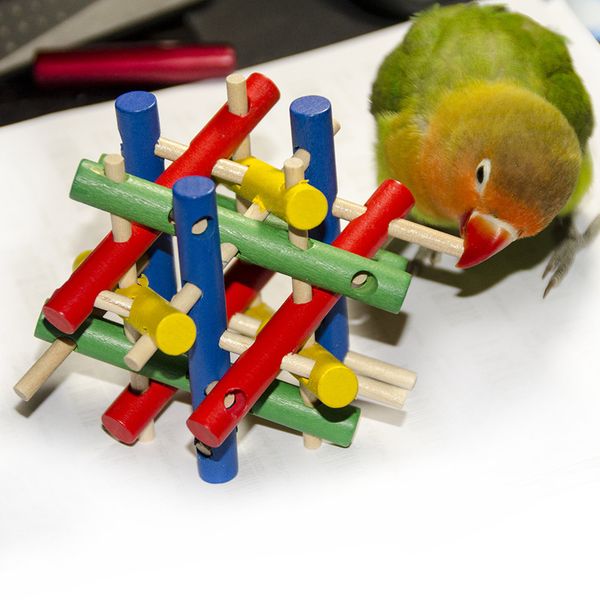

bird parrot wooden stick puzzle toys intelligence development