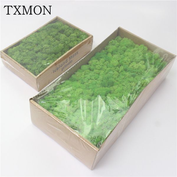 

simulation green plant immortal fake flower moss grass home living room decorative wall diy flower mini accessories
