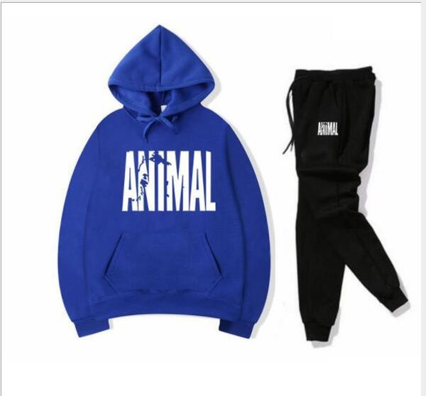 

2019 новый бестселлер модный костюм модный костюм топ тренд санитарная одежда толстовки спортивные брюки завод прямой размер s-3xl, Gray