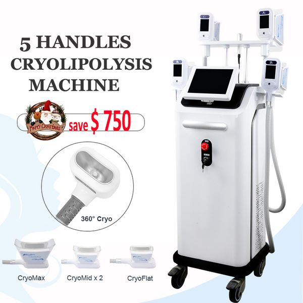 

4 handles cryolipolysis body shaping system cryo cellulite fat e machine for stubborn fat removal reduction