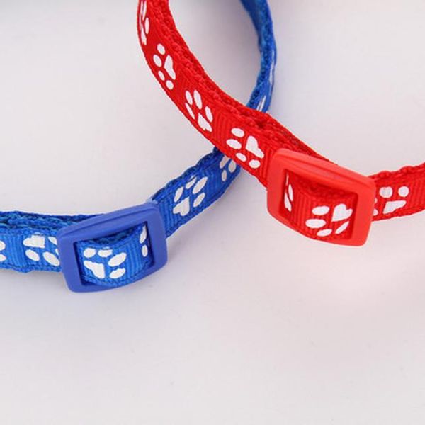 

nylon dog collars wholesale blue lagoon shock collar for small dogs spring summer kaulapanta nylon cat collar pet supplies bdegarden rzniy