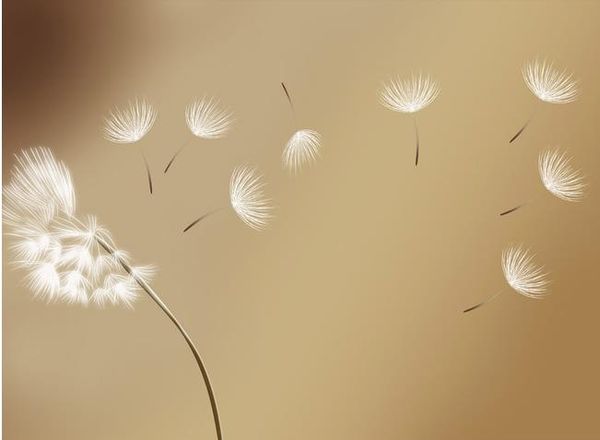 

тв фон стены простой одуванчик фотообои 3d обои 3d обои для тв фоне