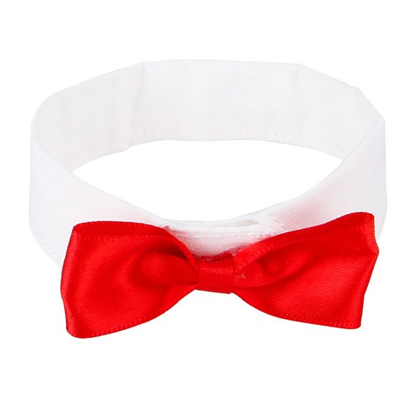 

cute bow tie style birds parrot neck collar for small to large birds