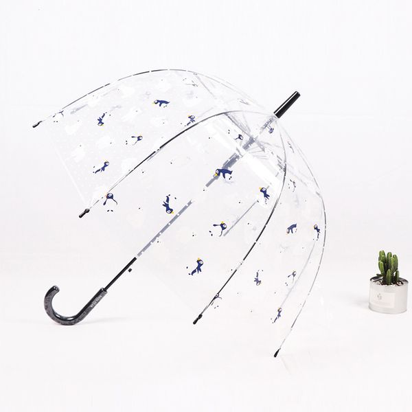 

safebet unicorn transparent umbrella penguin umbrellas semi automatic apollo arch long j handle cartoon umbrella drop shipping