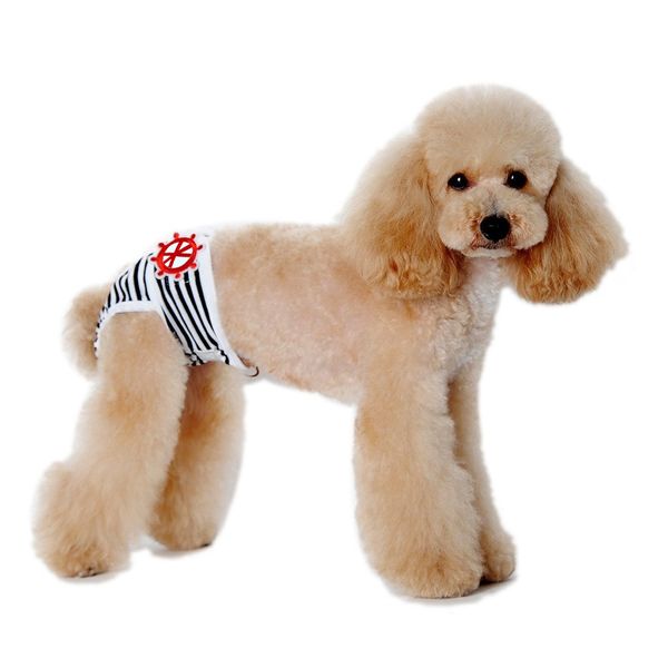 

dozzlor 1pcs pet dog short здоровье физиология домашние животные менструальный физиологический и санитарные штаны безопасности для чихуахуа