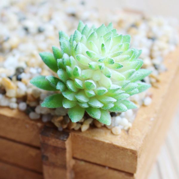 

1xartifical plastic succulent plant cactus echeveria flower home office supply grass artificial home decor