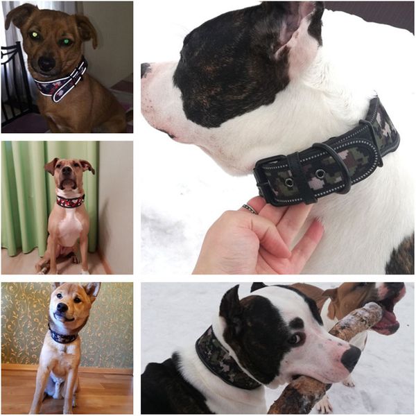 

comfortable foam padded wide dog collar colorful reflective pet dog collars for medium large dogs french bulldog accessories