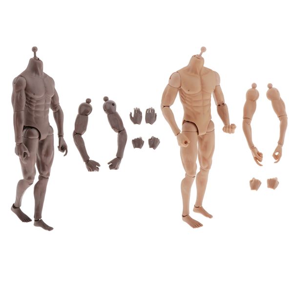 

flexible male muscular muscle diy nude body replacements parts dolls drawing
