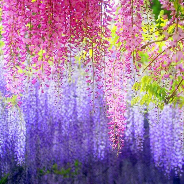 

long artificial silk flowers wisteria vine rattan fake flower table centerpieces wedding decoration garden wall flower flower wall