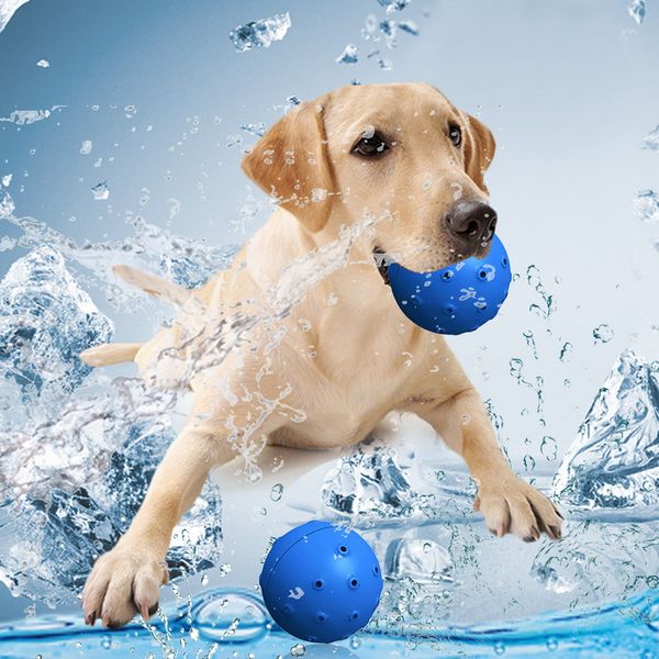 

pet toys dog accessories summer dog chew toy dogs cooling toys for puppy chewing training play overflow water bone ball