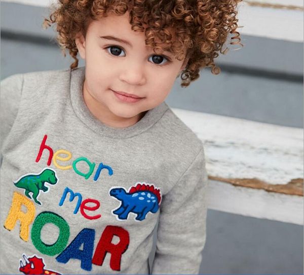 

Boy kids clothing Long sleeve shirt O-neck Cartoon Dinosaur Shirt Spring Fall Boy TOP 100% cotton Clothing