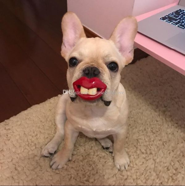 

pet puppy funny tooth toys decay props nipple schnauzer law fighting teddy bear pacifier golden hair samoyed dog toy dog supplies