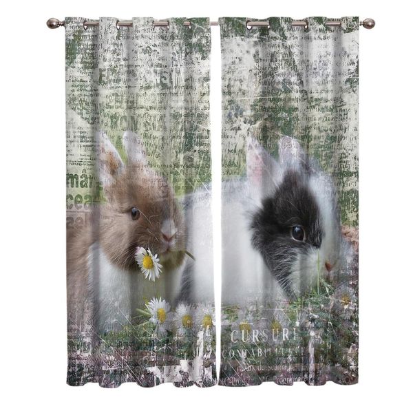 

two rabbits on a retro background window living room kitchen outdoor indoor