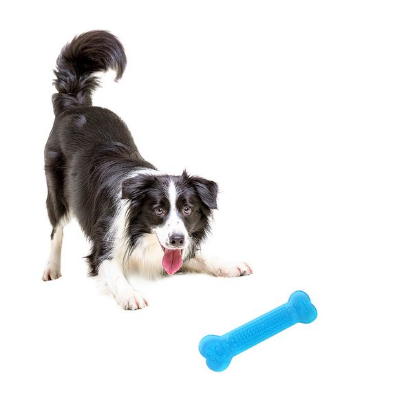 

pet chew toys bone shape for dogs training molar toy teeth exercise interaction pvc supplies 1 pcs