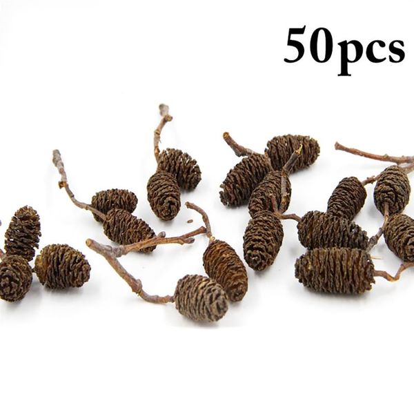 

water poplar dried flower arrangement flower pine fruit kindergarten handmade material retro home decoration pgraphy props