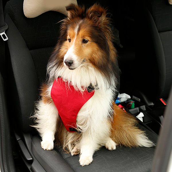 

safety pet seat belt for car harness dog leash safety seatbelt collar supplies products dog stuff pads adjustable car seat