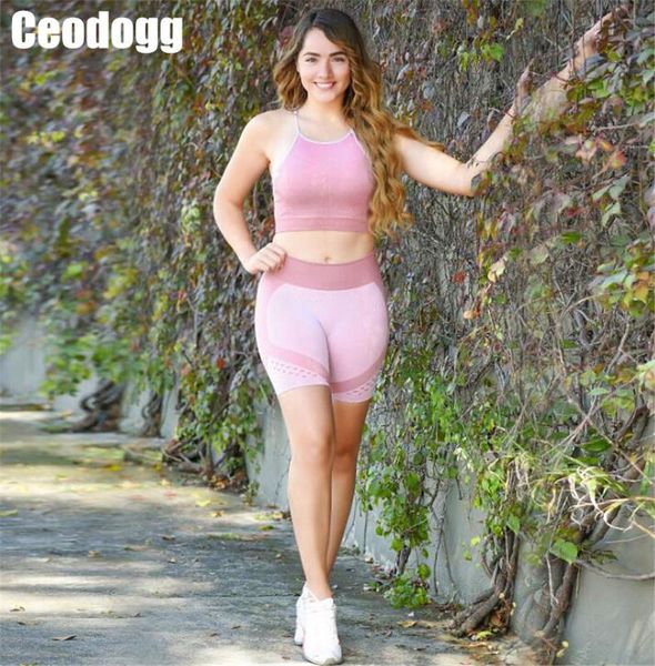 

2pcs summer vital seamless yoga set fitness workout gym suit outfit women seamless shorts set sports bra gym clothing tracksuit