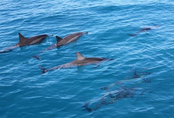 

3d bathroom floor tile texture mural 3d floor painting wallpaper